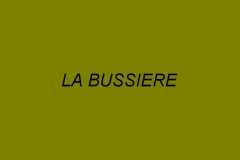 Sans titre 1