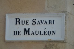 SAVARI-DE-MAULEON